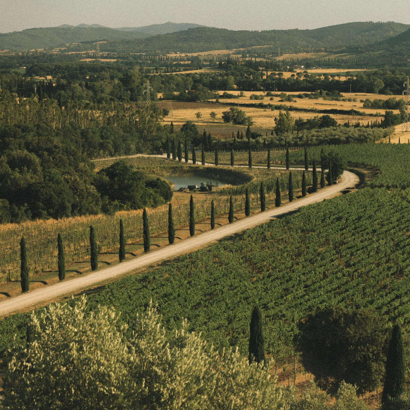 Conti di San Bonifacio, Monteregio, Super Tuscan, 2020