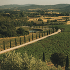 Conti di San Bonifacio, Monteregio, Super Tuscan, 2020