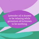 Faith In Nature Lavender & Geranium Hand and Body Lotion 400ml