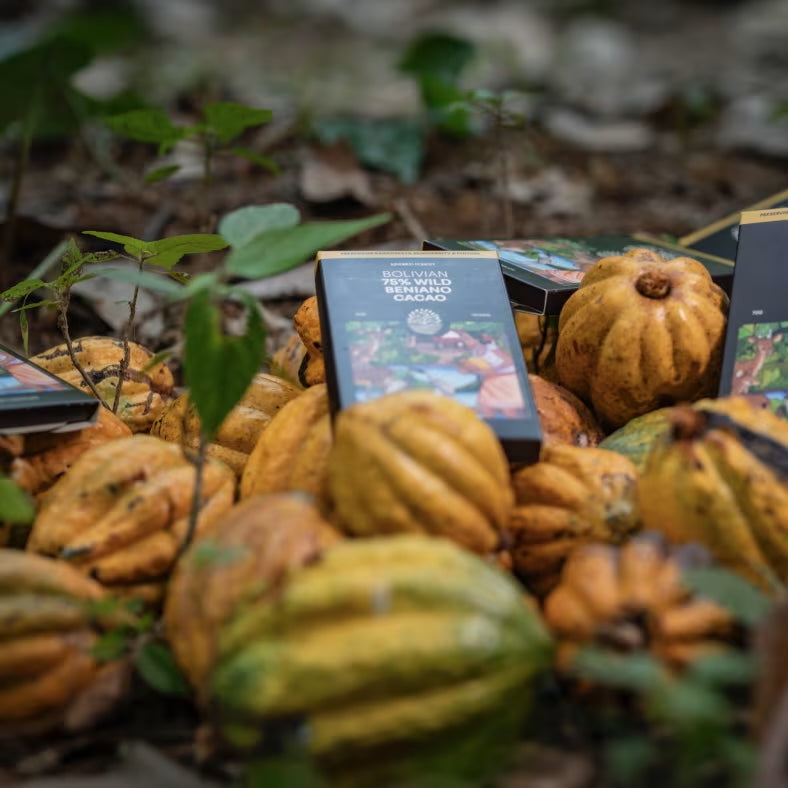 Kindred Forest Wild Bolivian Chocolate