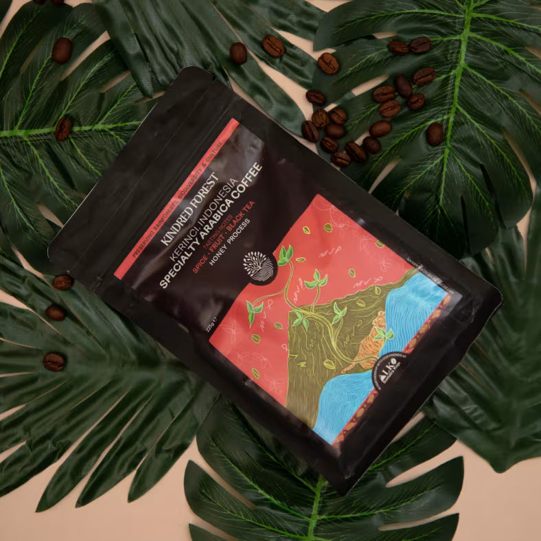 Kindred Forest Kerinci Coffee Full Wash