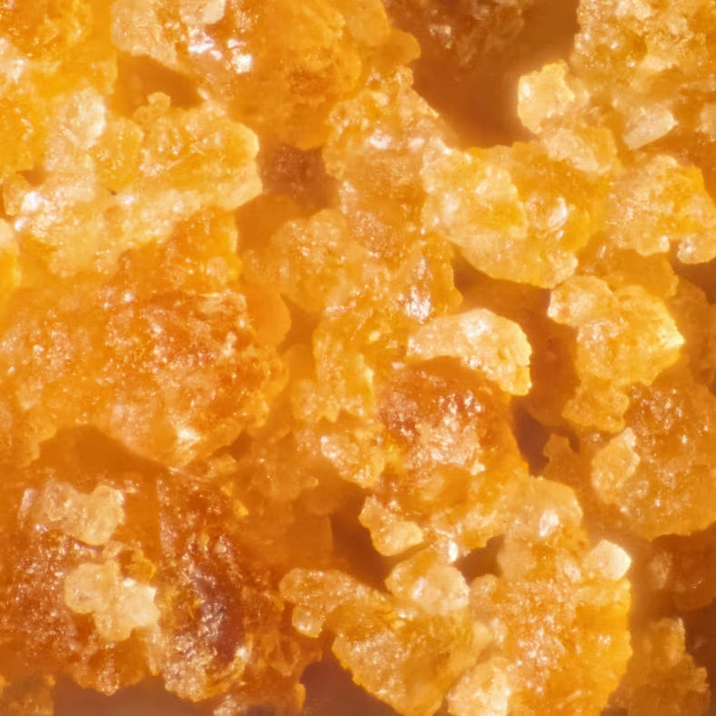 Kindred Forest Organic Arenga Forest Sugar