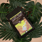 Kindred Forest Petungkriyono Coffee