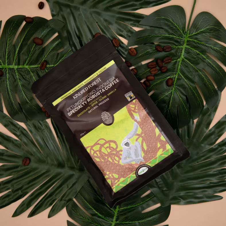 Kindred Forest Petungkriyono Coffee