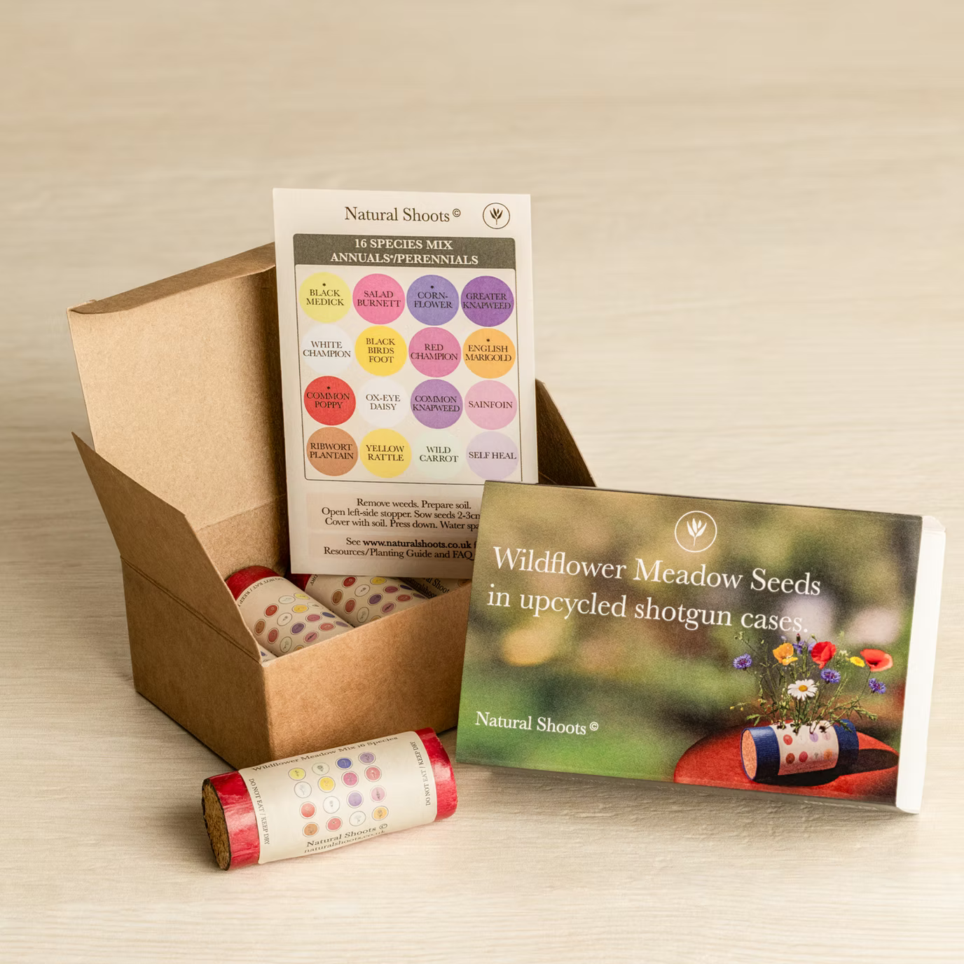 Natural Shoots Gift Box - 16 Species Annuals & Perennials