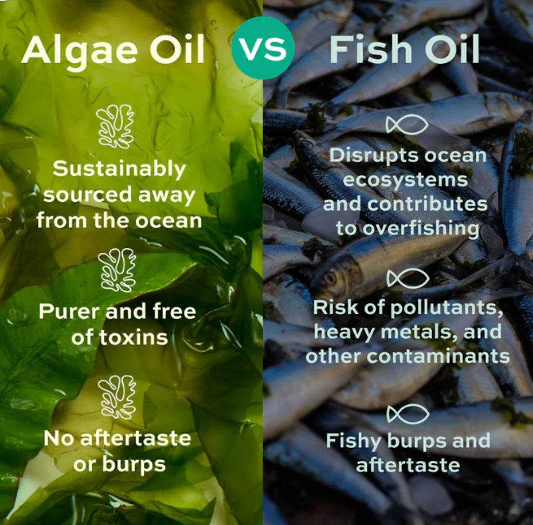 Nothing Fishy Algae Omega 3