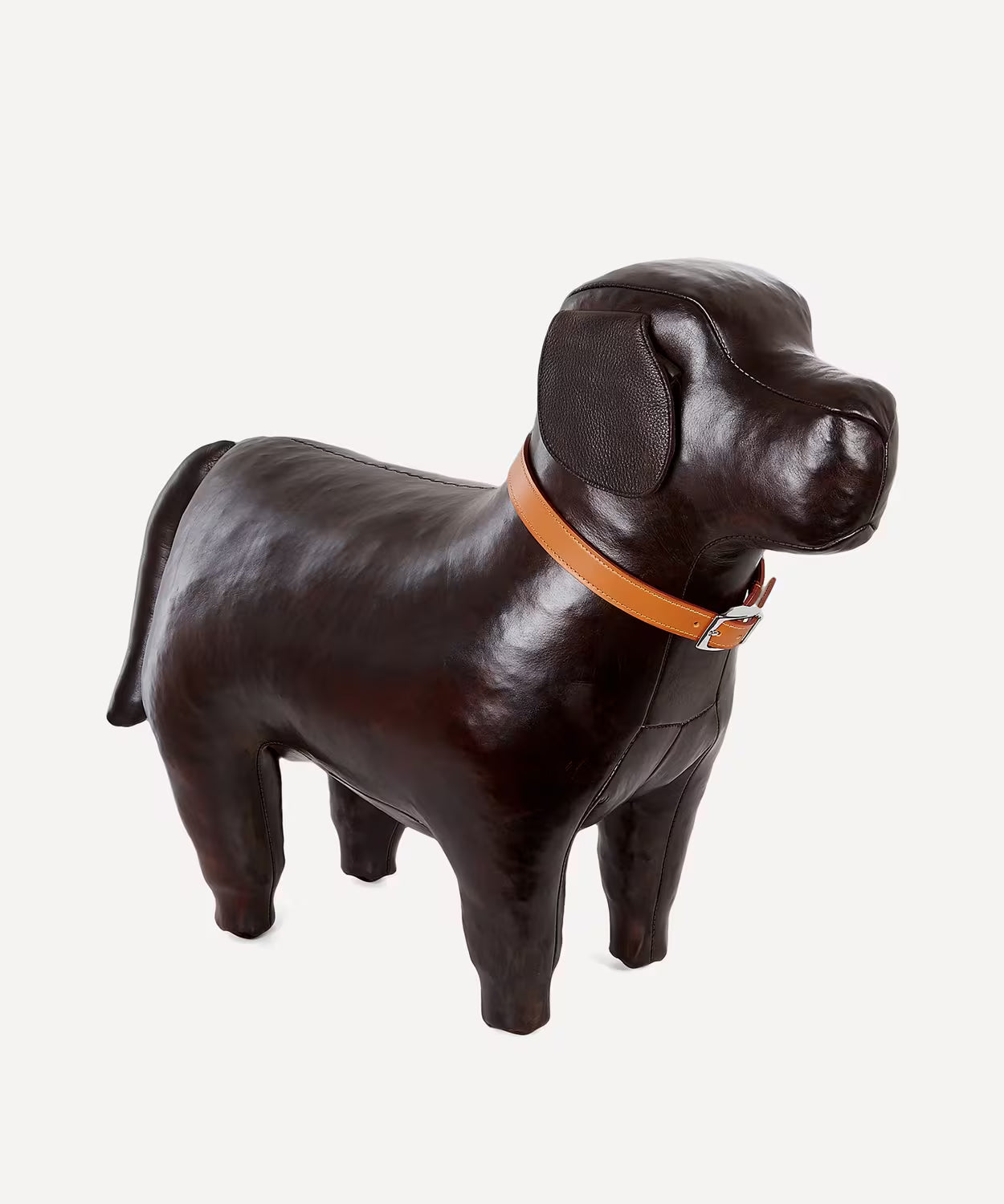 Omersa Medium Leather Labrador