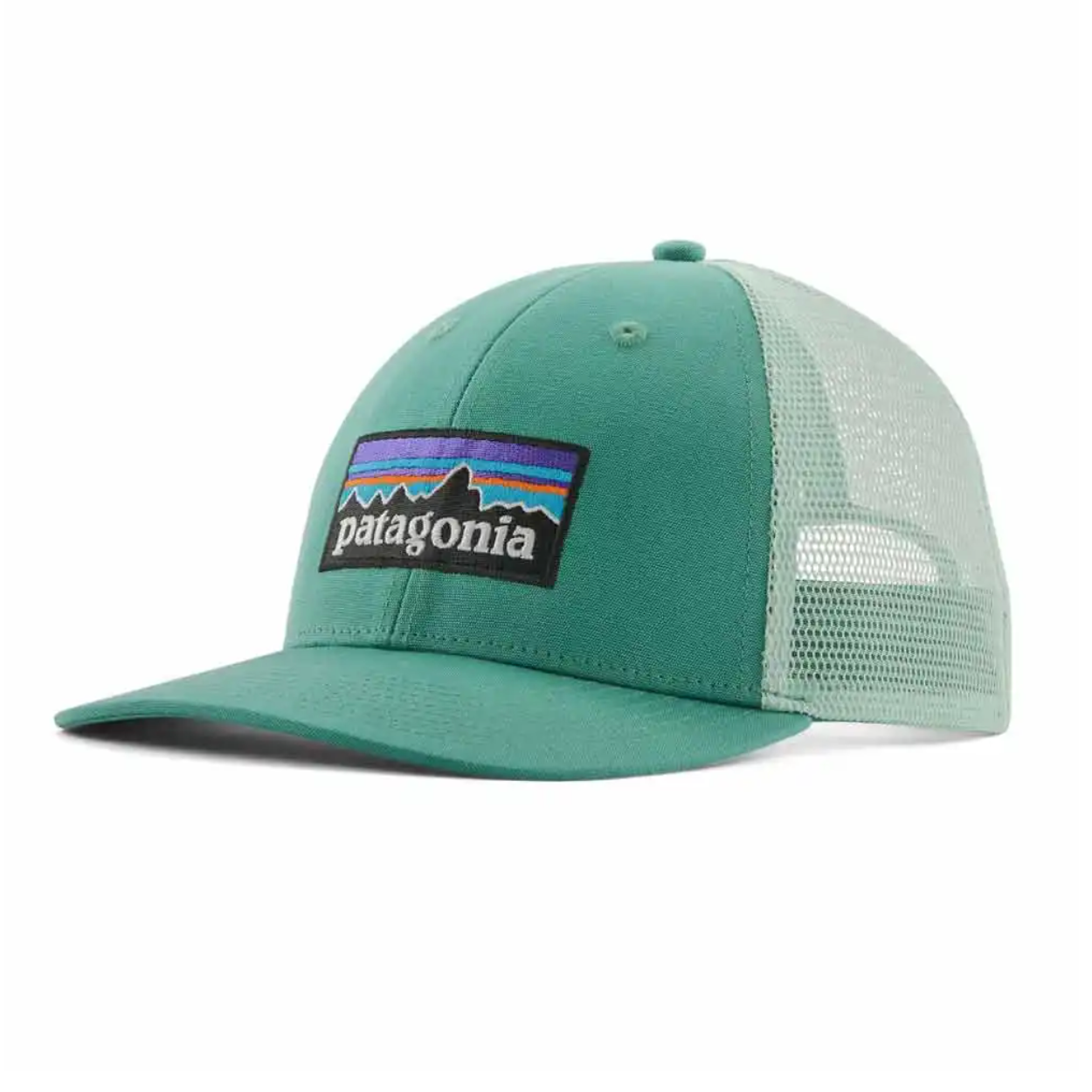 Patagonia P-6 Logo LoPro Trucker Hat