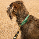 Penelope Chilvers Dog Collar in Green