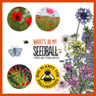 Seedball Poppy Seed Bombs