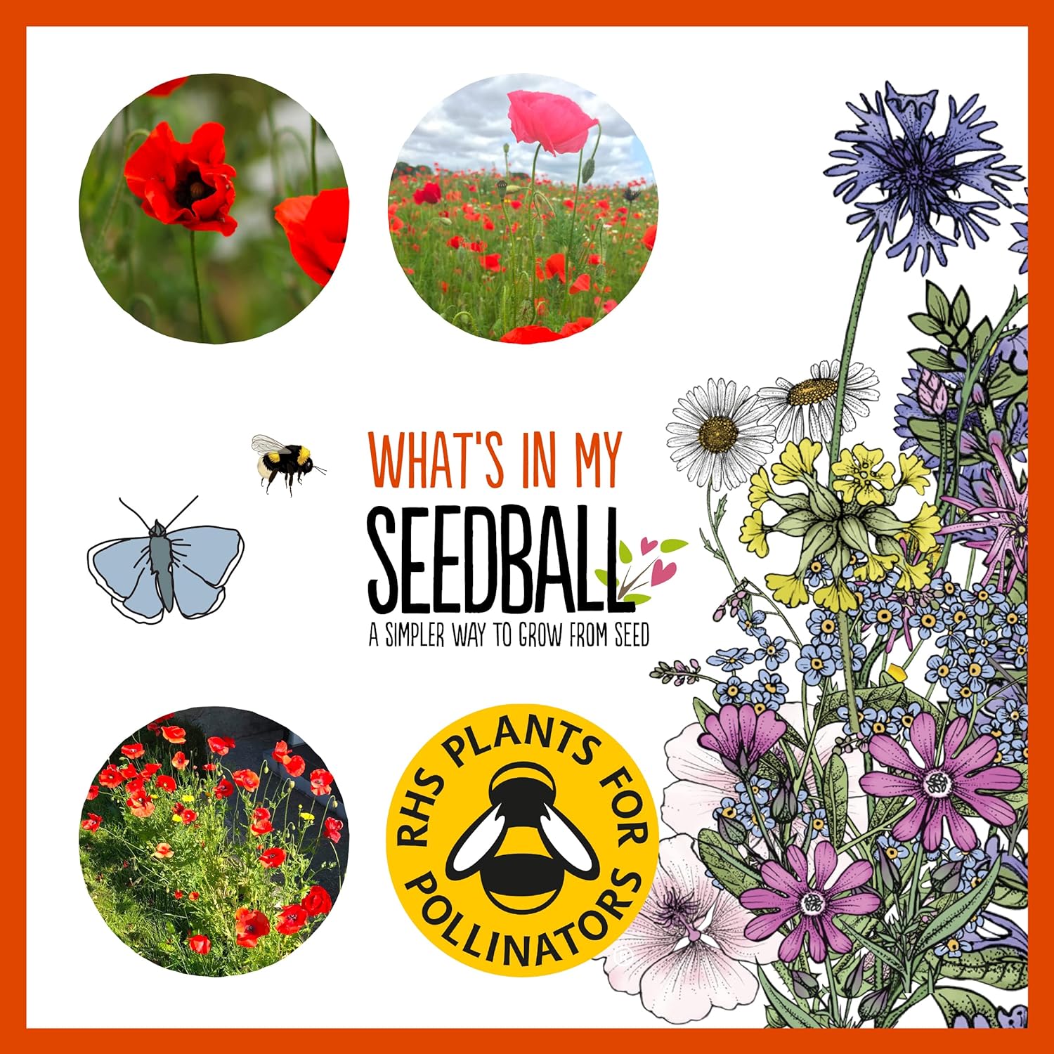 Seedball Poppy Seed Bombs