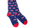 Swole Panda London Sock Box 4 Pairs of Bamboo Socks