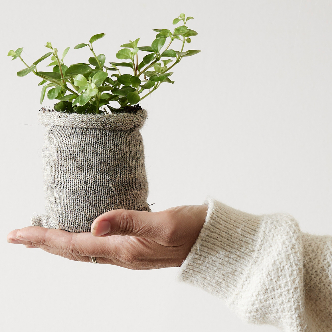 Wool Pots