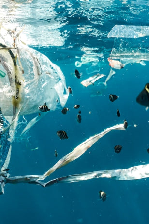 Image of litter in the sea. The collection contains plastic bottle, bags and bits of floating trash. The sea is a bright transparent blue.