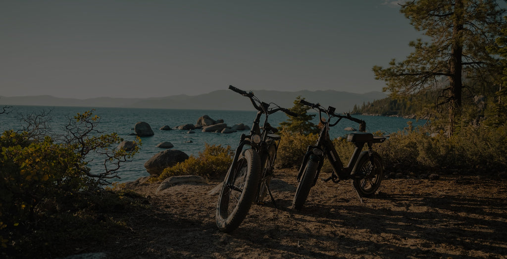 Image of two mountain bikes on a see front. The background contains trees, the sea, shrubs and some rocks. The mountain bikes are facing forward and stood up.