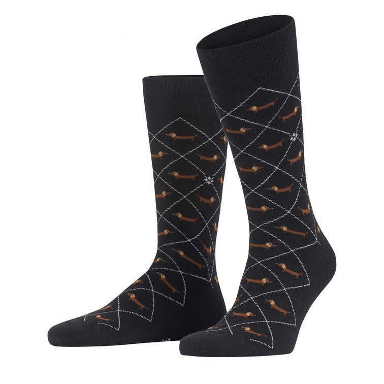 Burlington Men's Dachshund Socks in Black