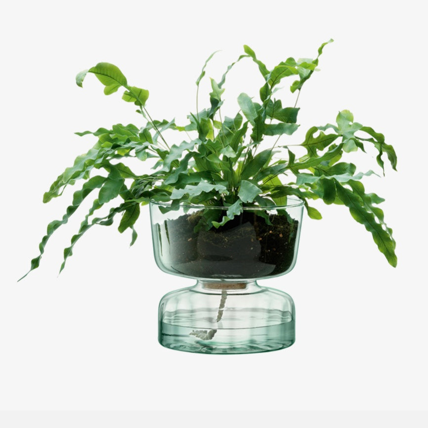 LSA Canopy Self Watering Planter