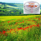 Seedball Wildflower Seeds- Poppy